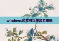 windows沙盒可以重装系统吗