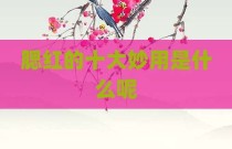 腮红的十大妙用是什么呢