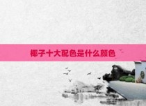 椰子十大配色是什么颜色