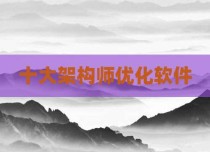十大架构师优化软件