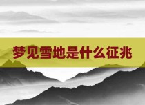 梦见雪地是什么征兆