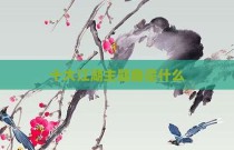 十大江湖主题曲是什么