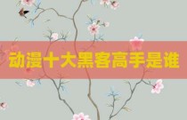 动漫十大黑客高手是谁