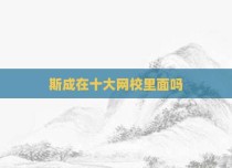 斯成在十大网校里面吗