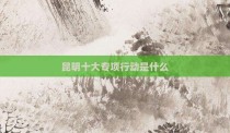 昆明十大专项行动是什么