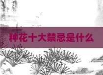 种花十大禁忌是什么