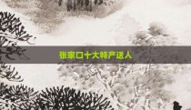 张家口十大特产送人