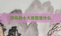 感染的十大类型是什么