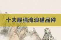 十大最强流浪猫品种