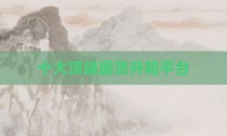 十大顶级国货开箱平台