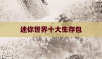 迷你世界十大生存包