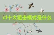 cf十大狙击模式是什么