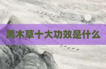 黑木草十大功效是什么