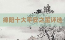 绵阳十大平安之星评选