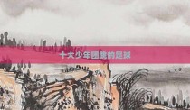 十大少年团跳的足球