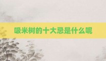 吸米树的十大忌是什么呢