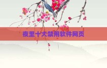 夜里十大禁用软件网页