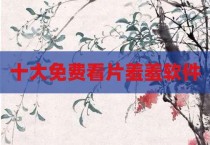 十大免费看片羞羞软件