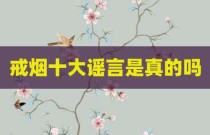 戒烟十大谣言是真的吗