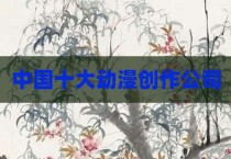 中国十大动漫创作公司