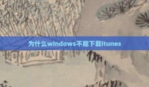 为什么windows不能下载itunes