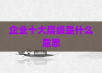 企业十大层级是什么意思