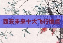 西安未来十大飞行地点