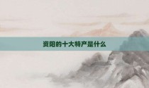 资阳的十大特产是什么
