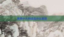 美狗十大特征是什么意思
