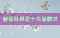 普雪灶具是十大品牌吗