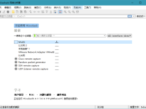 Wireshark v4.6.3绿色便携版