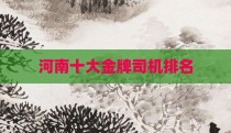 河南十大金牌司机排名