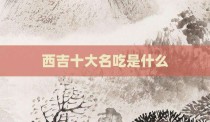 西吉十大名吃是什么
