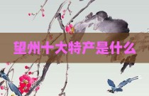 望州十大特产是什么