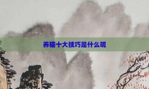 养猫十大技巧是什么呢