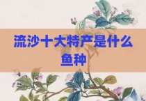 流沙十大特产是什么鱼种