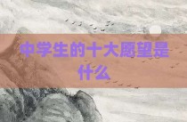 中学生的十大愿望是什么