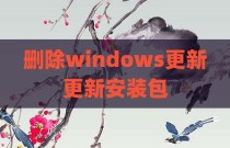 删除windows更新更新安装包