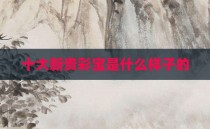十大新贵彩宝是什么样子的