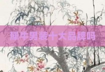 犀牛男装十大品牌吗