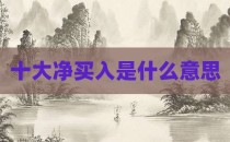十大净买入是什么意思