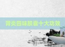 肾炎四味胶囊十大功效