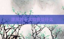 漯河的十大特色是什么