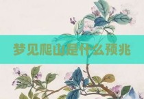 梦见爬山是什么预兆