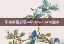 华为手机安装windows arm版本