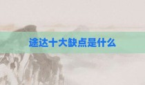 途达十大缺点是什么