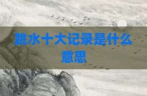 跳水十大记录是什么意思