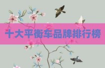 十大平衡车品牌排行榜