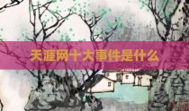 天涯网十大事件是什么