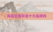 海龙王鱼竿是十大品牌吗